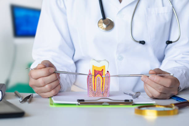 Best Emergency Dentist for Knocked-Out Tooth in Bardonia, NY